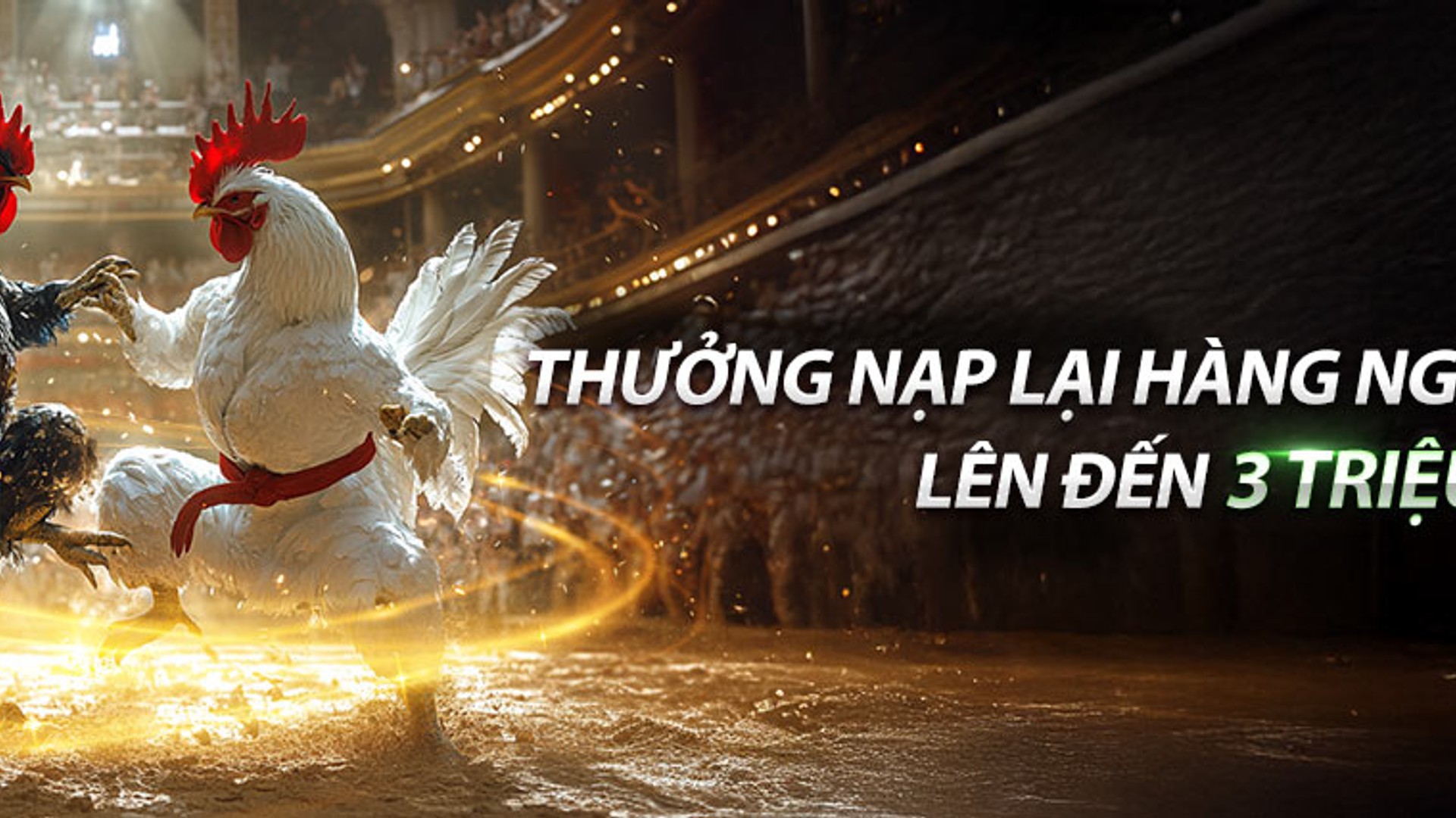 Đá gà trực tuyến 9vnd với các trận đấu sôi động